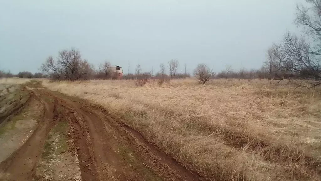 Участок в Саратовская область, Энгельс  (6.0 сот.) - Фото 2