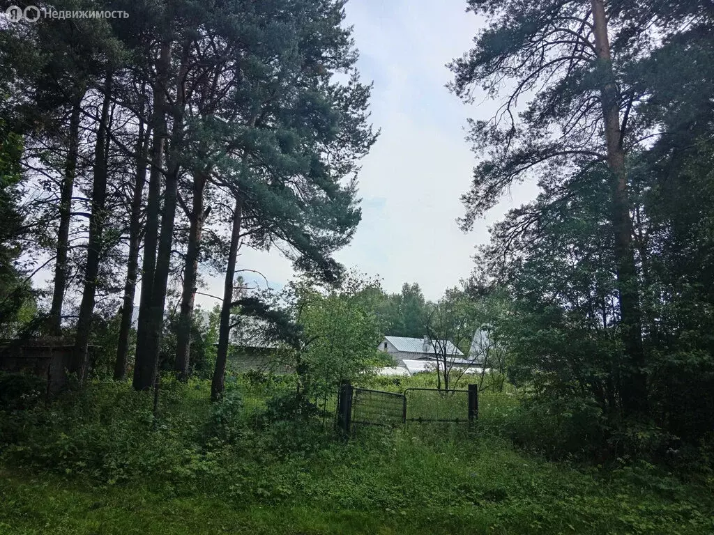 Участок в Новозавидовский, Железнодорожная улица, 16 (10 м) - Фото 0