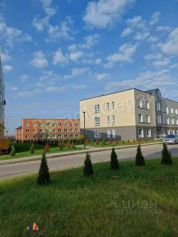 2-к кв. Московская область, Серпухов городской округ, д. Скрылья 280 ... - Фото 2