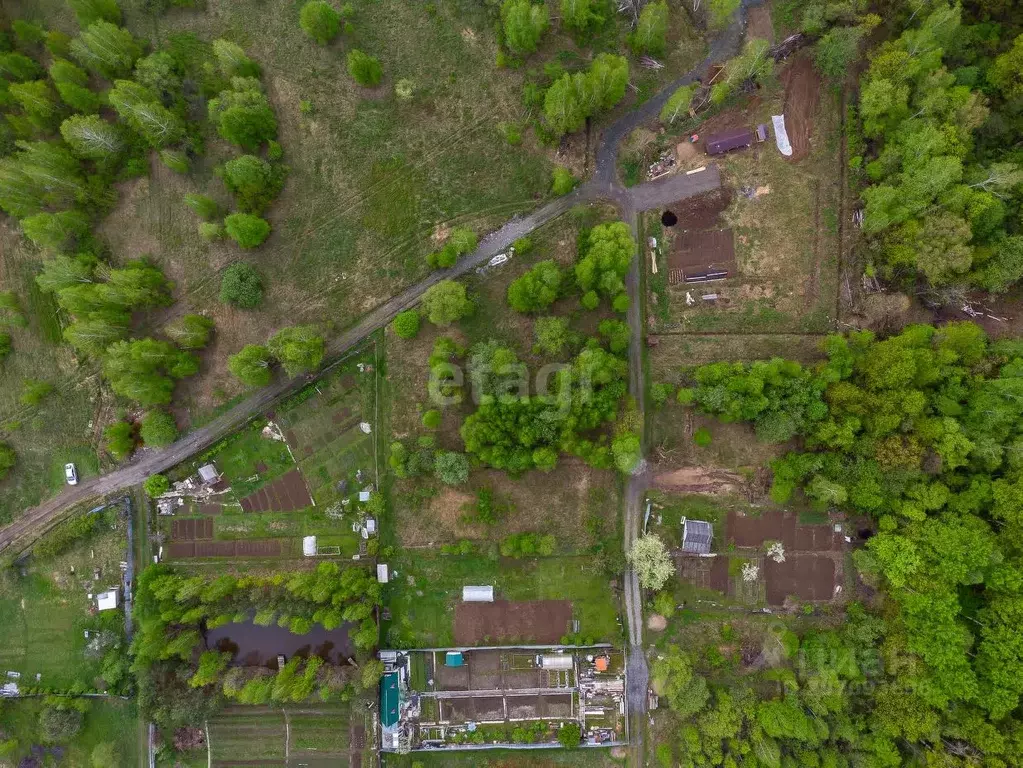 Участок в Хабаровский край, Хабаровский район, с. Сосновка  (10.48 ... - Фото 1