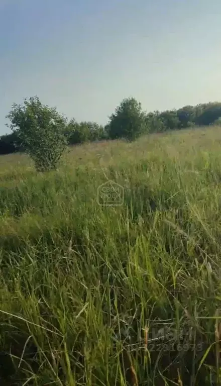 Участок в Рязанская область, Рязанский муниципальный округ, пос. ... - Фото 2