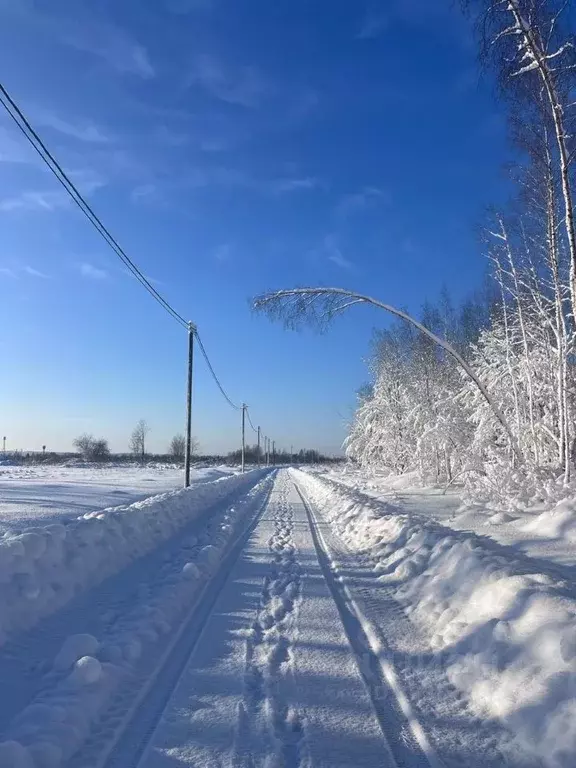 Участок в Ленинградская область, Приозерский район, Сосновское с/пос, ... - Фото 0