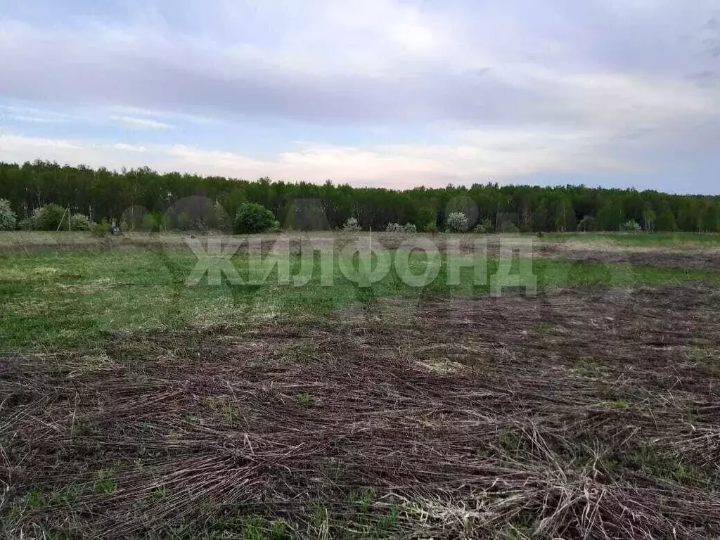 Участок 25 сот. (ИЖС) - Фото 1