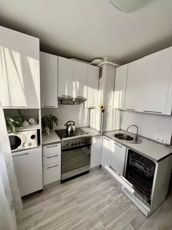 1-к кв. Санкт-Петербург просп. Культуры, 11К1 (33.2 м) - Фото 1