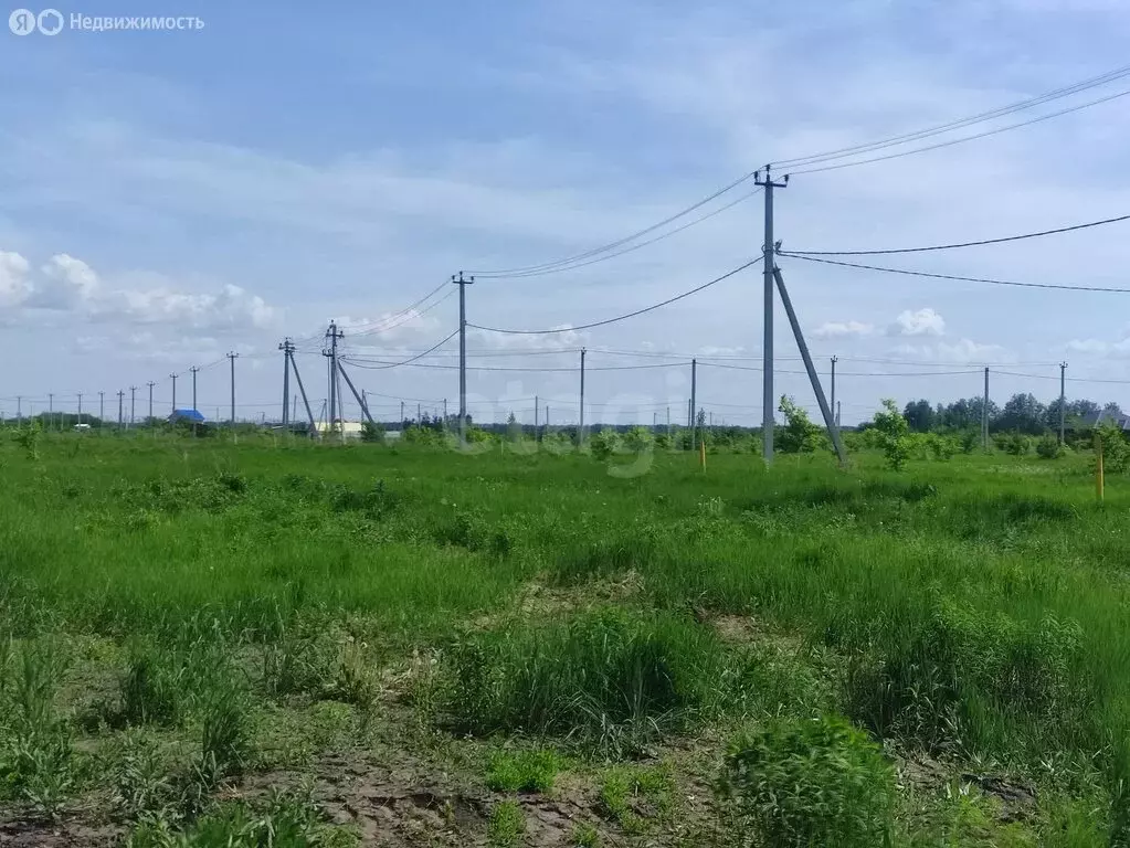 Участок в Тамбов, Дружная улица (7.5 м) - Фото 1
