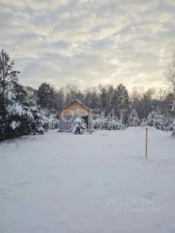 Участок в Тюменская область, Тюменский район, с. Кулига ул. Сосновая ... - Фото 0