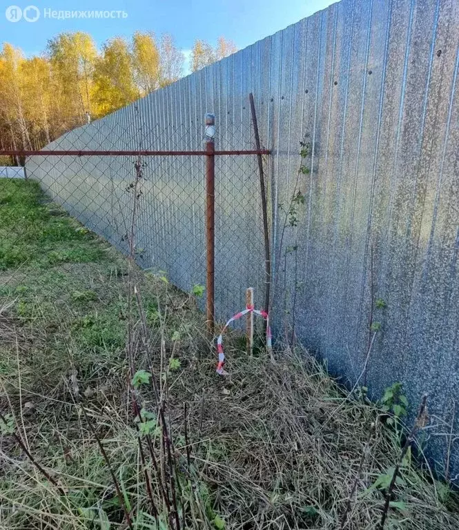 Участок в Челябинская область, Аргаяшский муниципальный округ, деревня ... - Фото 2