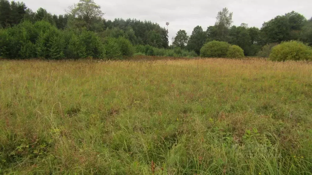 Участок в Московская область, Рузский муниципальный округ, пос. ... - Фото 1