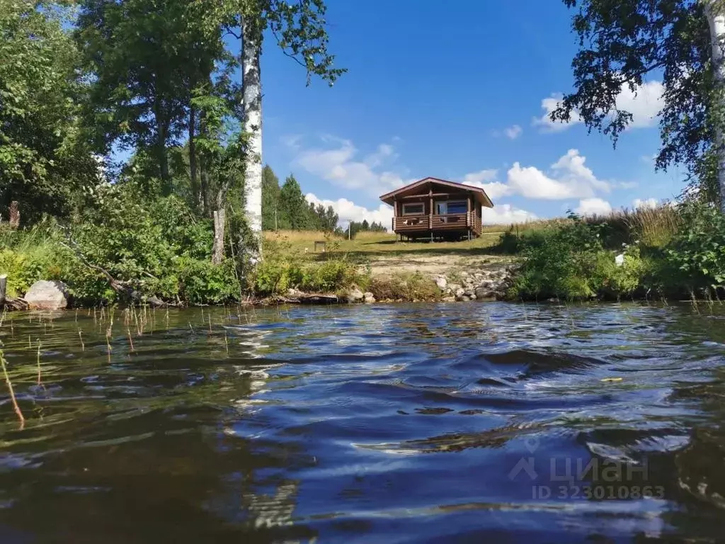 Дом в Карелия, Кондопожский район, Кедрозерское с/пос, д. Лижма  (36 ... - Фото 1