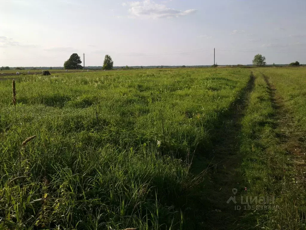 Дом в Рязанская область, Касимовский муниципальный округ, с. Гиблицы  ... - Фото 1
