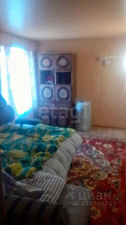 Дом в Алтай, Чемальский район, Элекмонарское с/пос, с. Элекмонар ул. ... - Фото 1