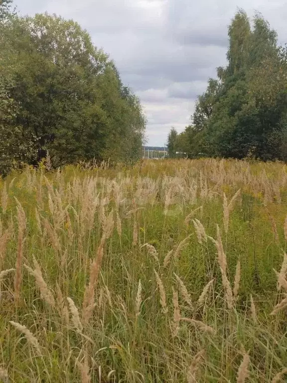 Участок в Тульская область, Тула городской округ, с. Частое  (21.89 ... - Фото 1