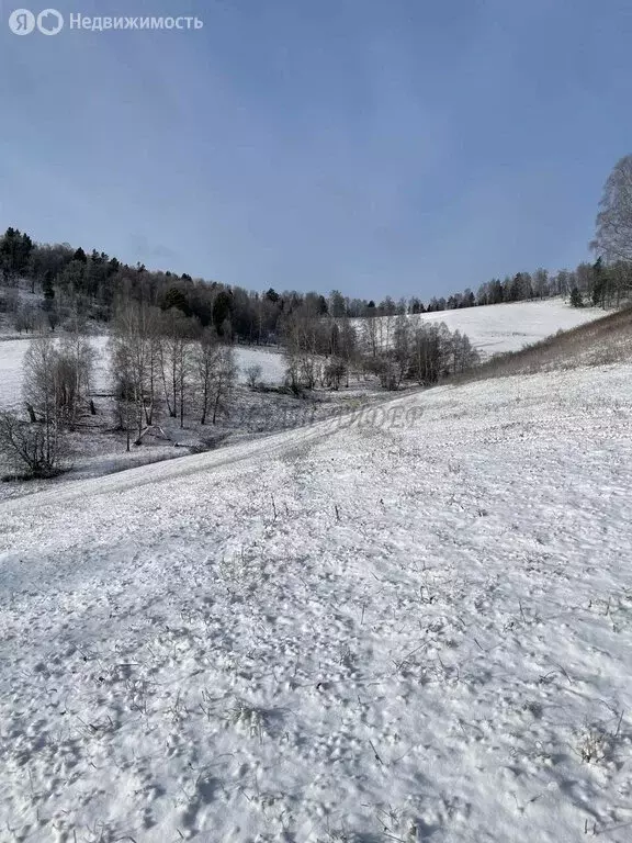 Участок в Чемальский район, село Бешпельтир (200 м) - Фото 0