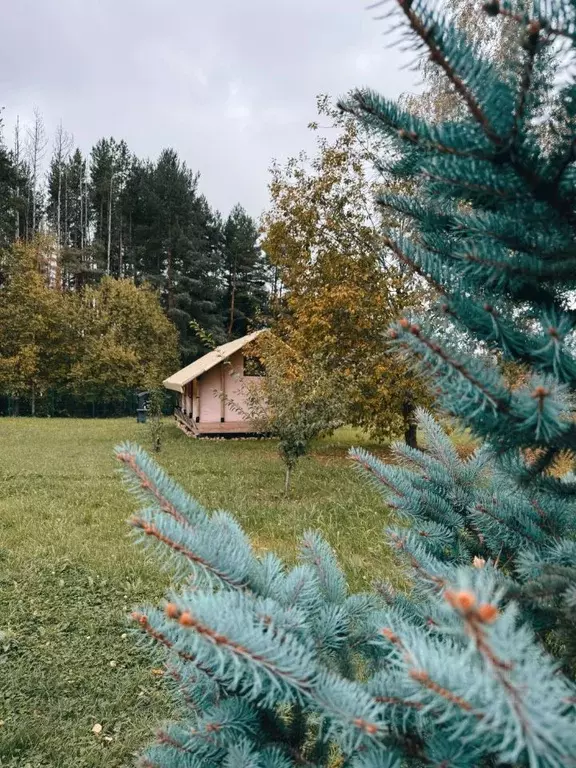 Дом в Московская область, Можайский муниципальный округ, Лукоморье ДНТ ... - Фото 1