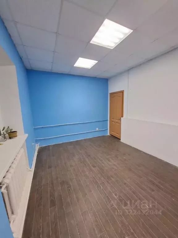 Офис в Псковская область, Псков ул. Белинского, 87 (41 м) - Фото 1