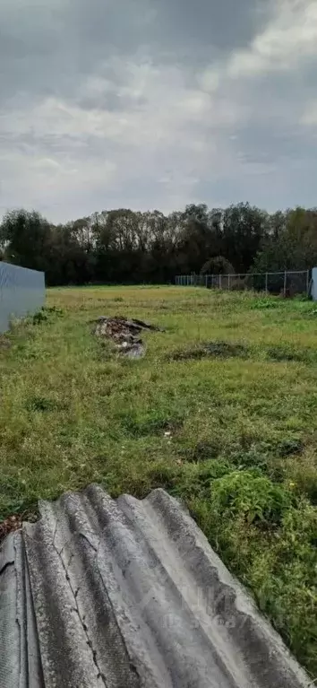 Участок в Тамбовская область, Тамбов городской округ, с. Бокино ул. ... - Фото 2