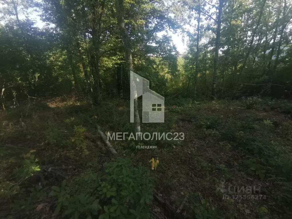 Участок в Краснодарский край, Геленджик городской округ, с. ... - Фото 1