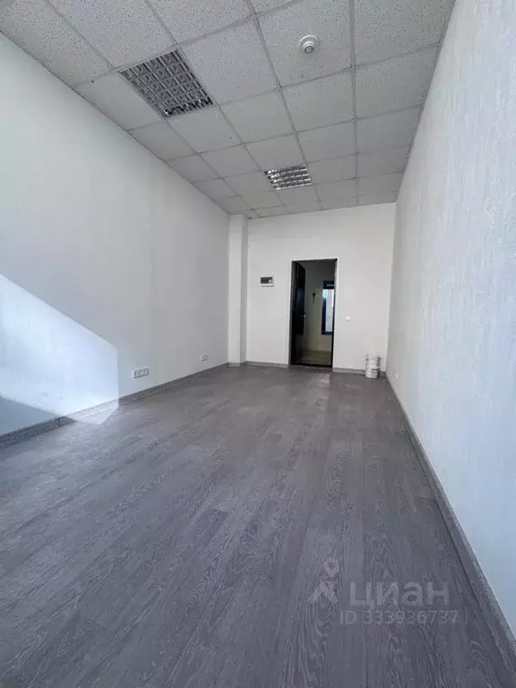Офис в Воронежская область, Воронеж Никитинская ул., 42 (36 м) - Фото 2