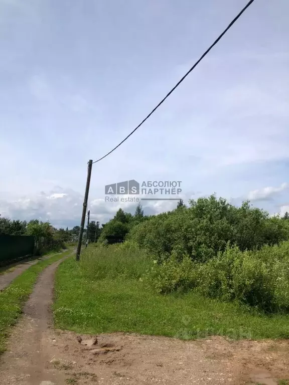 Участок в Новгородская область, Новгородский район, Трубичинское ... - Фото 0