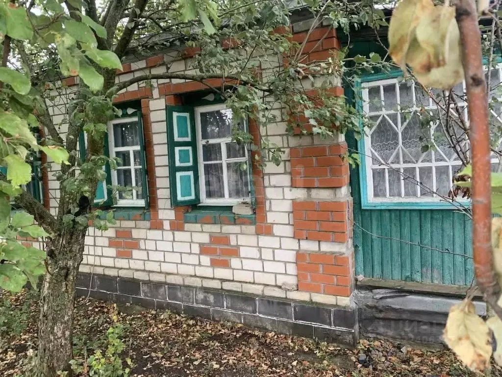 Дом в Белгородская область, Ровеньский район, с. Новоалександровка ул. ... - Фото 2
