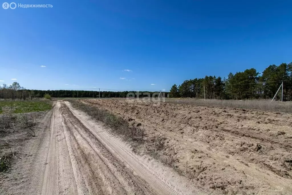 Участок в Тюменский район, деревня Криводанова (11.7 м) - Фото 0