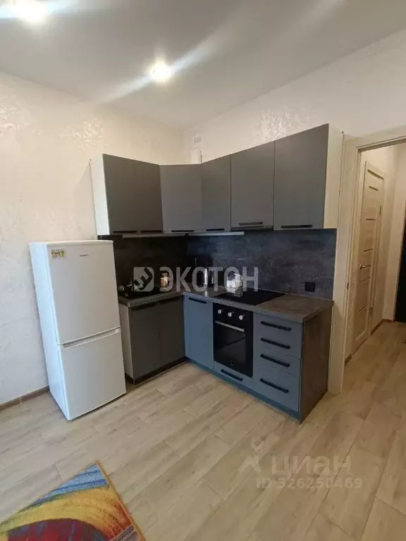 Студия Санкт-Петербург пос. Шушары, просп. Старорусский, 8к1 (23.2 м) - Фото 2