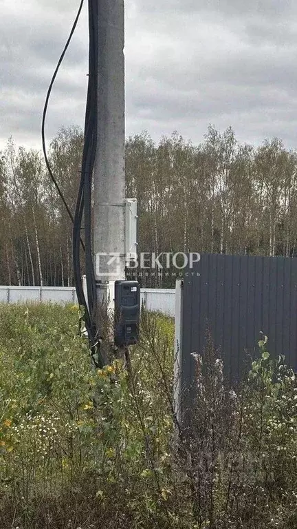 Участок в Ивановская область, Ивановский район, Беляницкое с/пос, д. ... - Фото 2