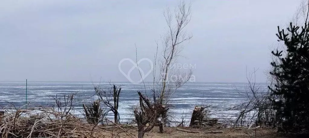 Дом в Волгоградская область, Волгоград Строитель СНТ, ул. 3-я (35 м) - Фото 2