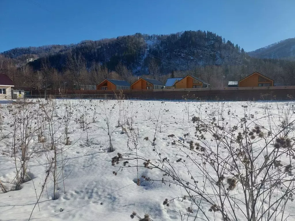 Участок в Алтай, Майминский район, Соузгинское с/пос, пос. Черемшанка ... - Фото 1