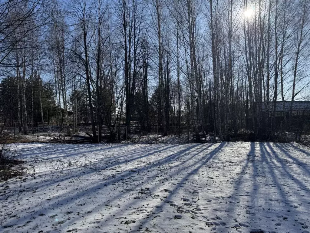 Участок в Тверская область, Кимрский муниципальный округ, д. Крева  ... - Фото 1
