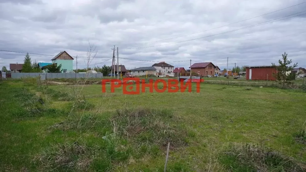 Участок в Новосибирская область, Новосибирский район, Верх-Тулинский ... - Фото 1