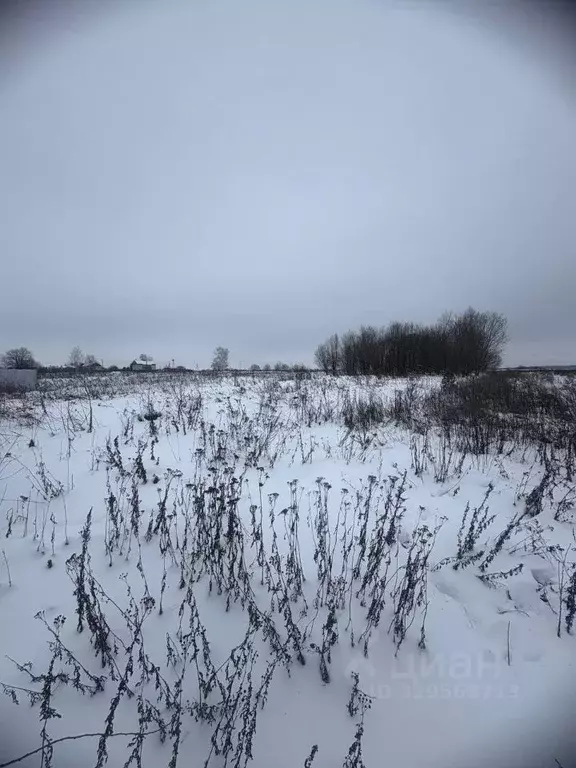 Участок в Московская область, Коломна городской округ, с. Протасово  ... - Фото 1