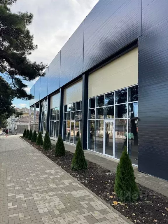 Помещение свободного назначения в Краснодарский край, Новороссийск ул. ... - Фото 2