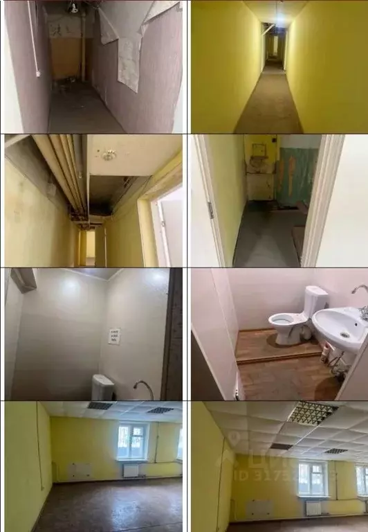 Помещение свободного назначения в Карелия, Петрозаводск ул. ... - Фото 0
