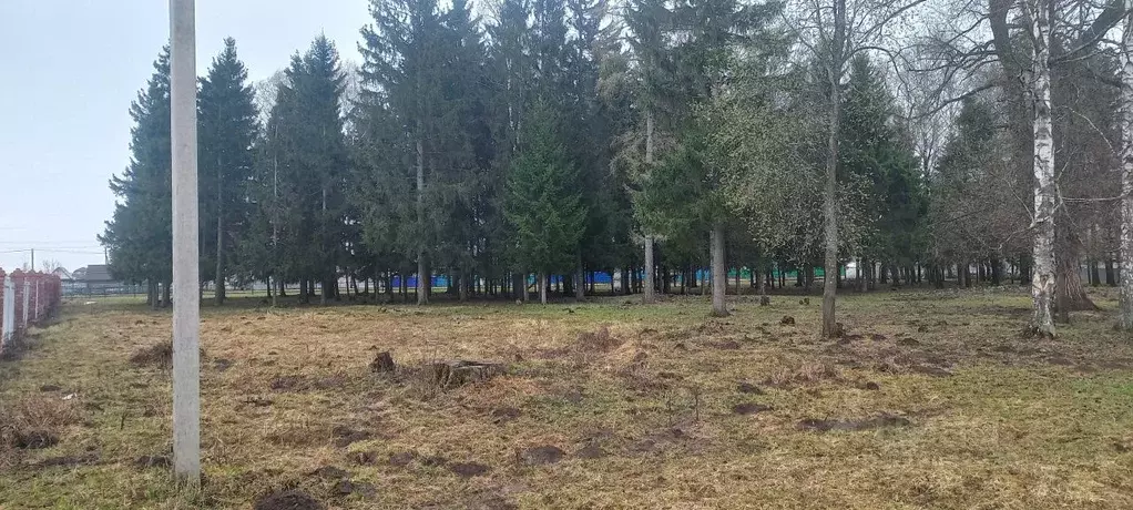 Участок в Башкортостан, Иглинский район, с. Турбаслы ул. Центральная ... - Фото 1