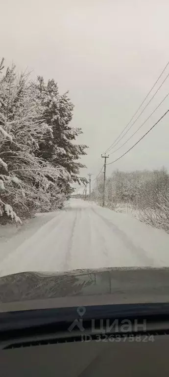 Участок в Новосибирская область, Колыванский район, Проектировщик СНТ ... - Фото 2