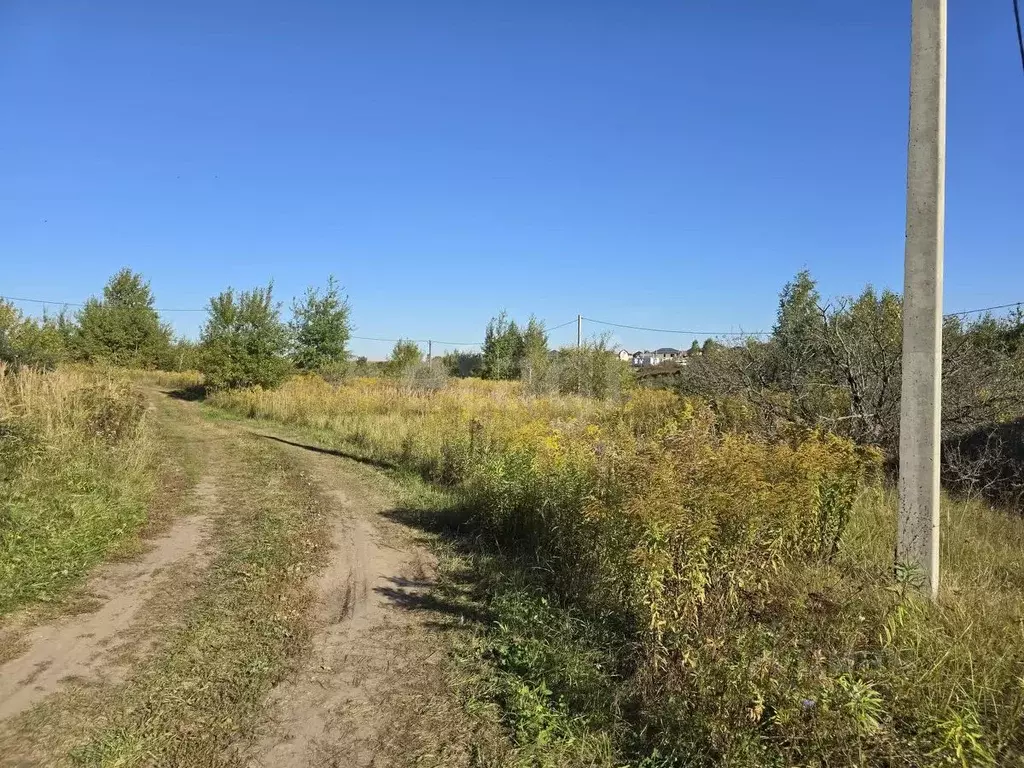 Участок в Брянская область, Брянский район, Добрунское с/пос, д. ... - Фото 2