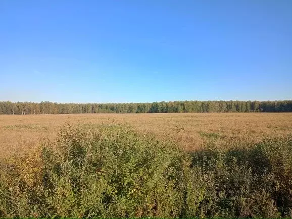 Участок в Челябинская область, Сосновский район, Краснопольское с/пос, ... - Фото 0