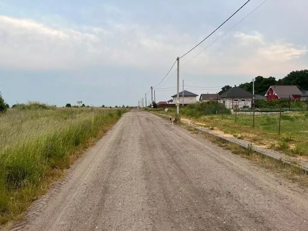 Участок в Калининградская область, Гурьевский муниципальный округ, ... - Фото 0