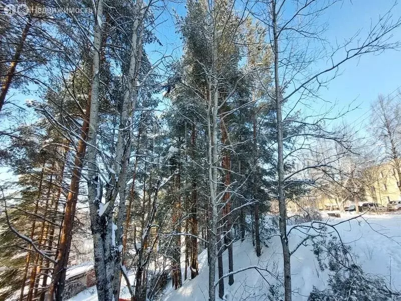 2-комнатная квартира: городской посёлок Никольский, улица Лисицыной, ... - Фото 2