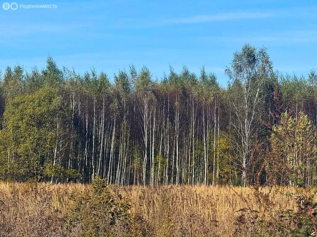 Участок в Московская область, Раменский муниципальный округ, КП ... - Фото 2