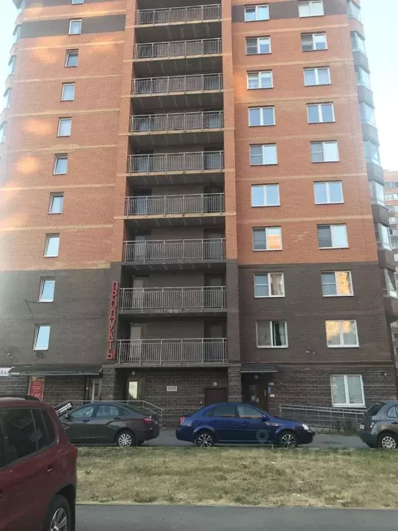 Студия Санкт-Петербург пос. Металлострой, Полевая ул., 11 (26.5 м) - Фото 1