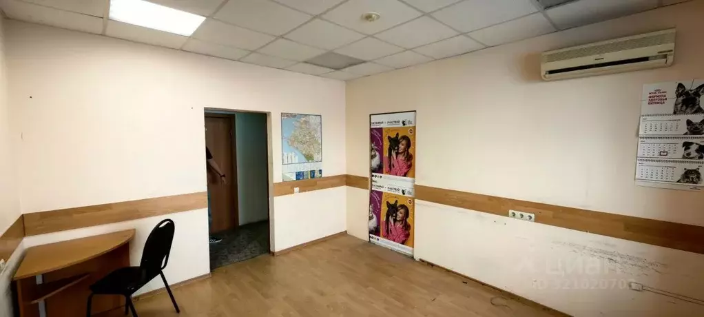 Офис в Краснодарский край, Новороссийск Цемдолина тер., ул. ... - Фото 0