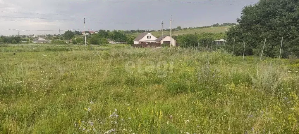 Участок в Белгородская область, Губкин ул. Корочанская (15.7 сот.) - Фото 0