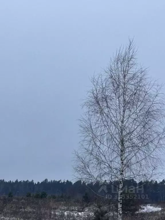 Участок в Московская область, Ступино городской округ, д. Прудно ул. ... - Фото 1