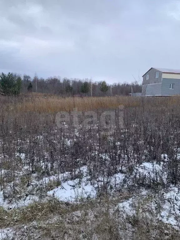 Участок в Ульяновская область, Ульяновск городской округ, с. ... - Фото 1