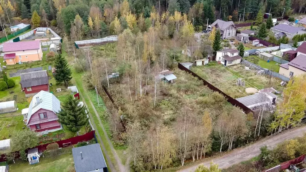 Участок в Ленинградская область, Сертолово Всеволожский район, Ягодка ... - Фото 2
