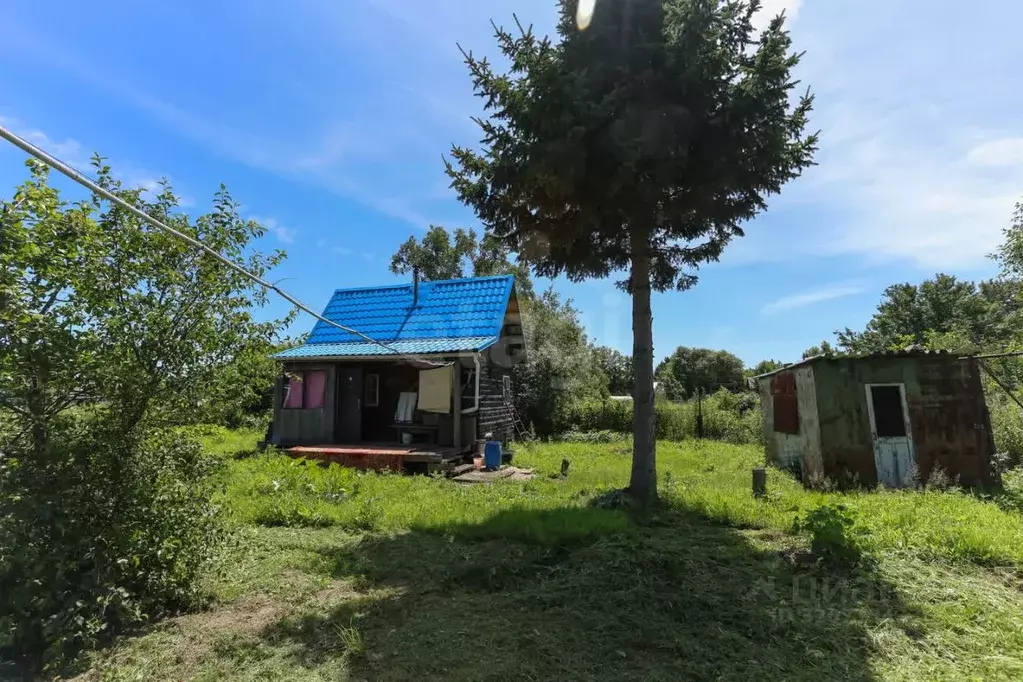 Дом в Еврейская автономная область, Смидовичский район, пос. ... - Фото 1