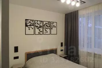 1-к кв. Владимирская область, Суздаль Советская ул., 5 (30.0 м) - Фото 1