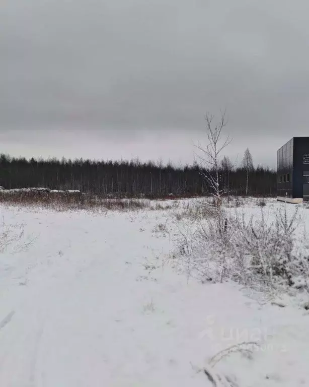 Участок в Тверская область, Тверь ул. Паши Савельевой (50.0 сот.) - Фото 2